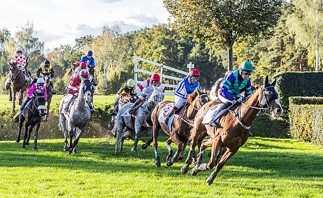 Kvalifikace na Velkou pardubickou 2025: program a výsledky, kde sledovat