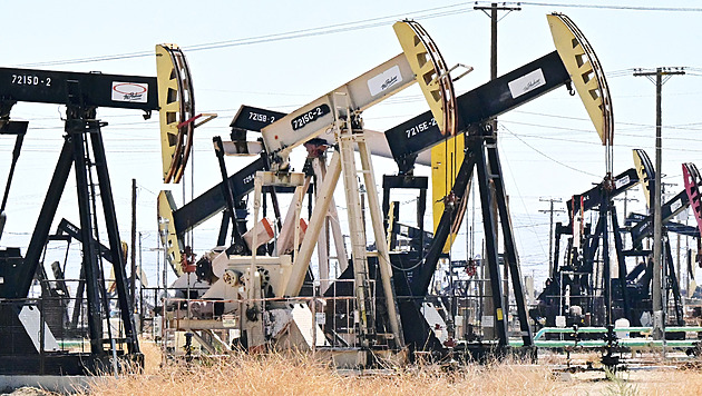 Přesně tohle jsme chtěli. Ropným magnátům se sázka na Trumpa zatím vyplácí