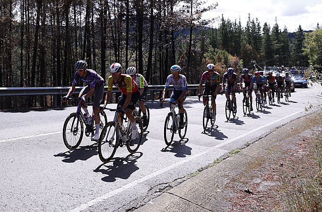 Vuelta ONLINE: Almeida chvíli ztrácel, lídra Vingegaarda a spol. ale dojel. Kdo zvítězí?