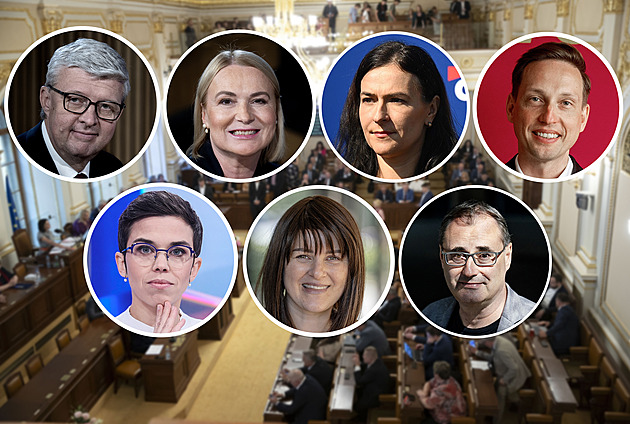 Průšvih jako dělo, šéf STAN nemůže být ministr vnitra, prohlásil Havlíček