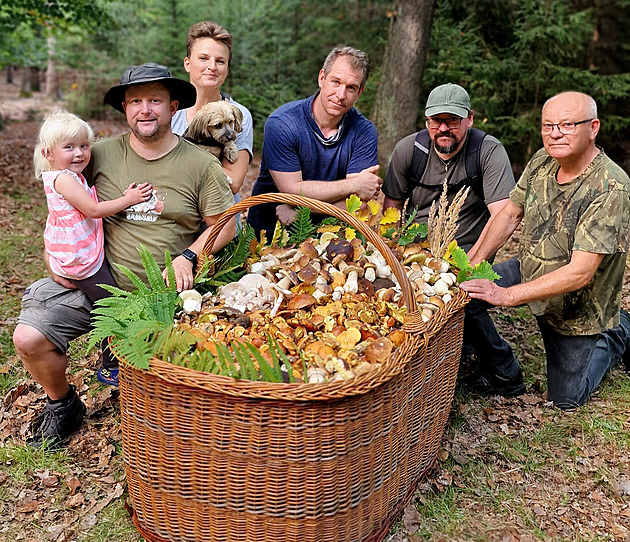 Tohle nevytvořila AI. Houbaři v Brdech udivili gigantickým košem