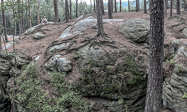 Kraj chce osekat přírodní rezervaci. Ruce pryč od Maštale! vzkazují odborníci