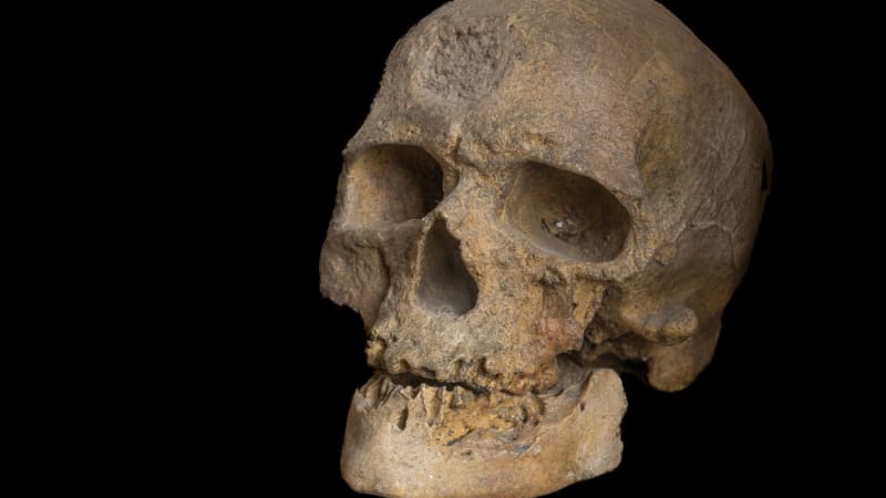 Lidé jsou tu mnohem déle. Nález milion let staré lebky může změnit pohled na evoluci člověka