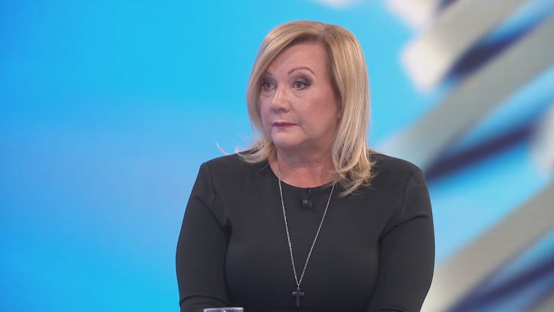 Schillerová: Za premiéra chceme Babiše. Havlíček dostane nově spojené silné ministerstvo