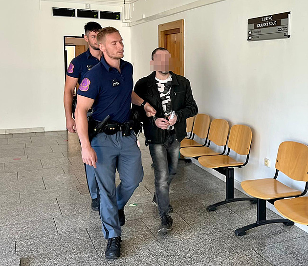 Za brutální vraždu svého pětiletého syna a otce dostal muž z Teplicka doživotí