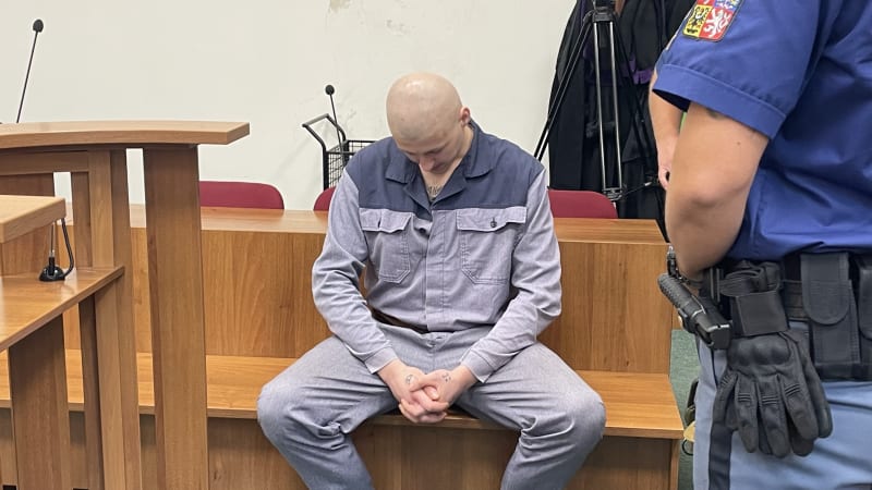 Fenku Chilli podřezal a bodl několikrát do krku. Zvíře přežilo, mladíkovi hrozí šest let