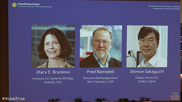 Nobelovou cenou za medicínu byl oceněn výzkum imunologie