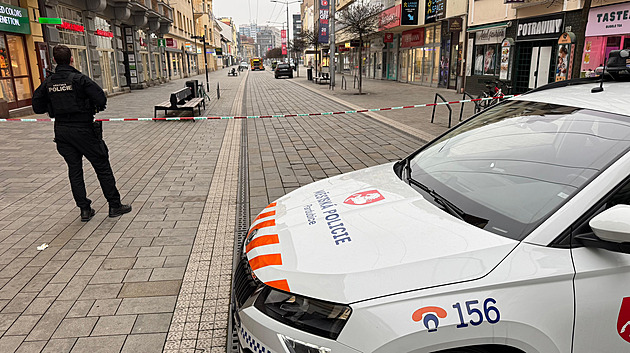 Muže mlátili pěstmi do hlavy, na místě zemřel. Cizincům u soudu hrozí deset let