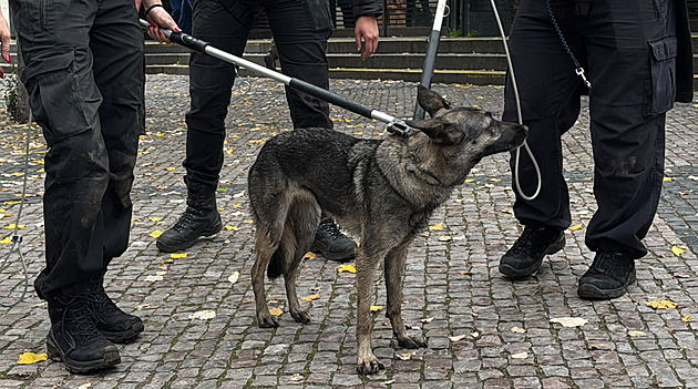 Po majitelce psa, který zastavil metro, chce dopravní podnik náhradu škody