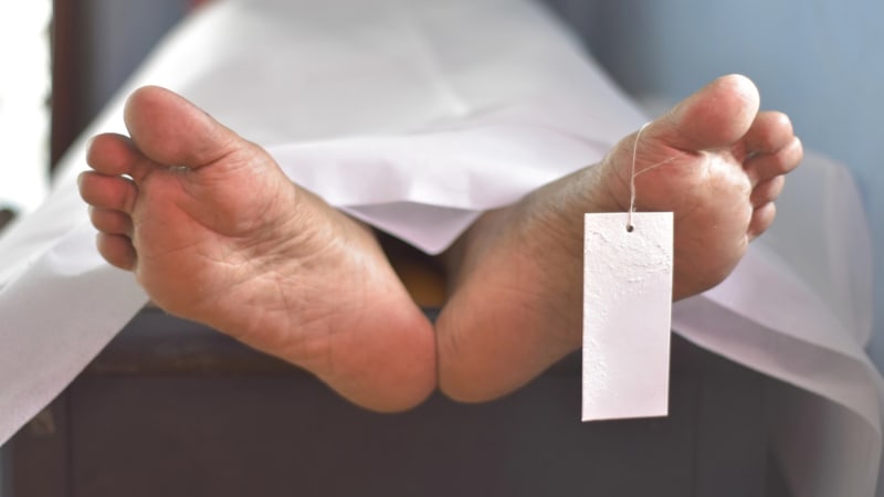 Budoucnost v ohrožení: Mladí umírají, aniž by trpěli nemocemi. Vědci bijí na poplach