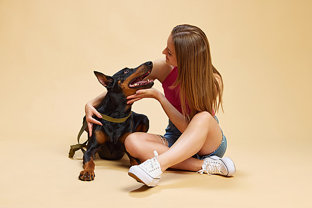 Evoluce čtyřnohých přátel. Psi už člověka nehlídají, ale uspokojují jeho emoce