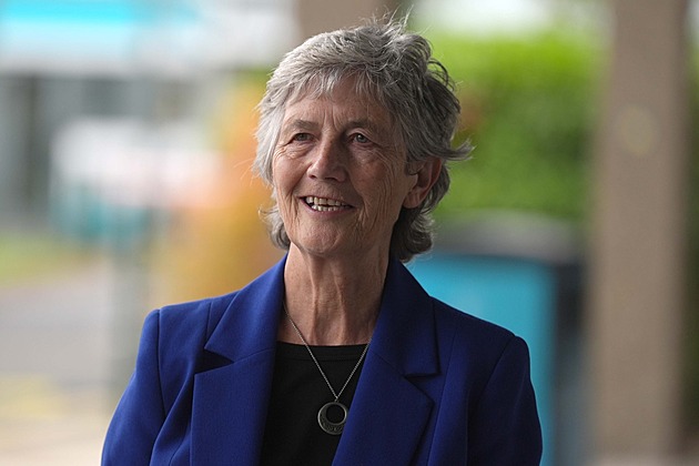 Třetí prezidentka v historii Irska. Výsledky voleb se očekávají v sobotu večer