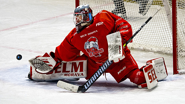 ONLINE: Litvínov doma vede, Liberec s Kladnem srovnává. Lídr hostí Budějovice