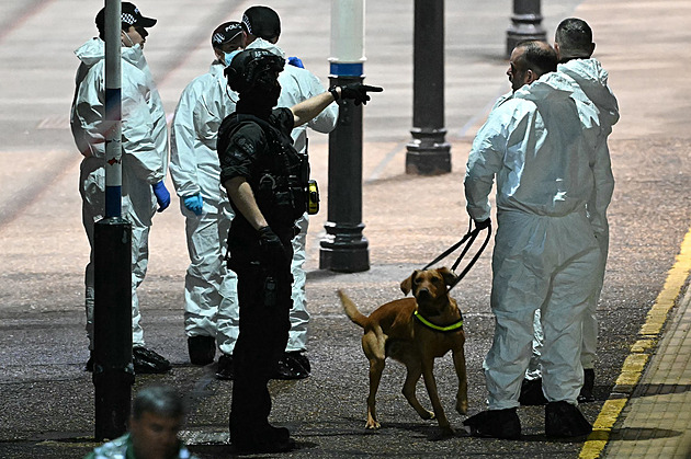 Útok ve vlaku měli za halloweenský žert. Král je zděšen, policie nemluví o terorismu