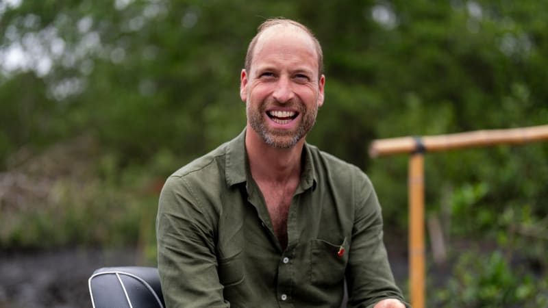 Princ William práskl do stolu, míní expert. Postupně nahrazuje Karla III. v královské roli