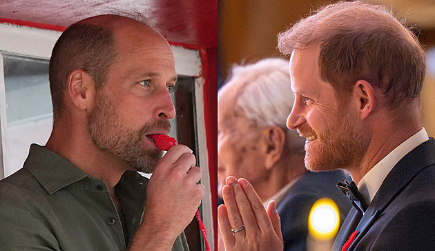 Princové v Americe. William byl hvězdou na pláži, Harry vtipkoval o pleši