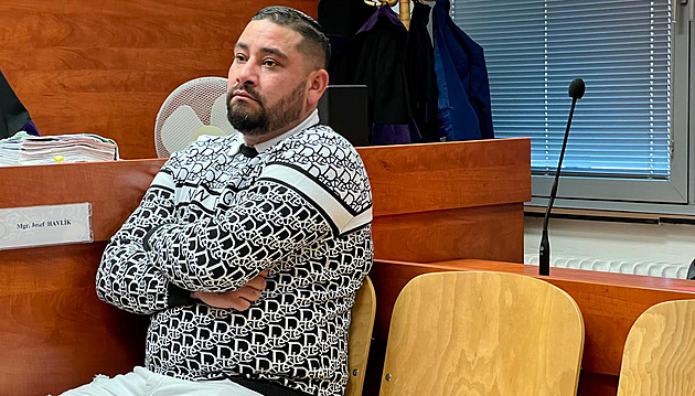 Vězení za napadení na koupališti v Dubí. Soudce kritizoval procesní chyby