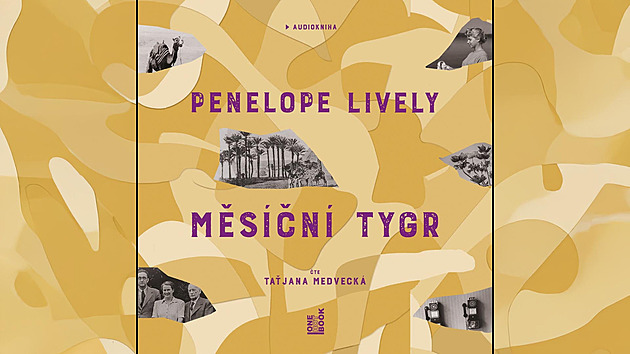 Spisovatelka bilancuje na smrtelné posteli. Audiokniha Měsíční tygr zdarma