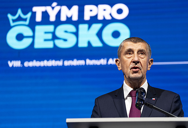 Babiš obhájil post šéfa ANO, dva byli proti. Havlíček měl pak větší podporu