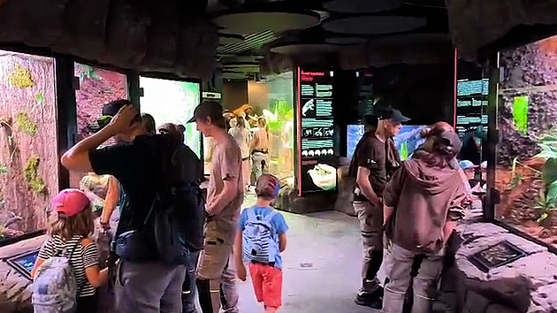 Ostravská zoo představila nové lákadlo, moderní pavilon pro obojživelníky