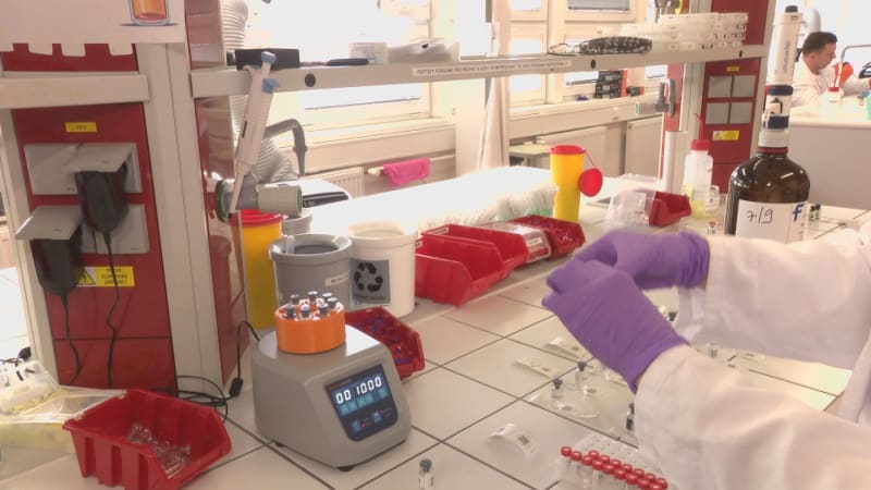 Hit ze sítí nabízí svaly i mládí. Z uživatelů ale peptidy dělají pokusné myši